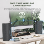 VAVA VOOM 22 True Wireless Stereosystem